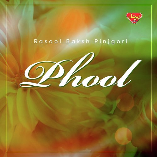 Zantey Aadeega - Rasool Bakhsh Pinjgori