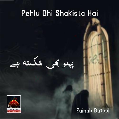 Pehlu Bhi Shakista Hai - Zainab Batool, Ali Haider Raza