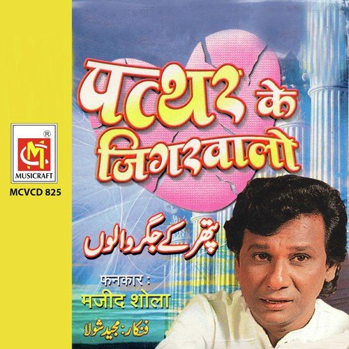Gam Ke Andhere Aur Tanhai - Majid Shola