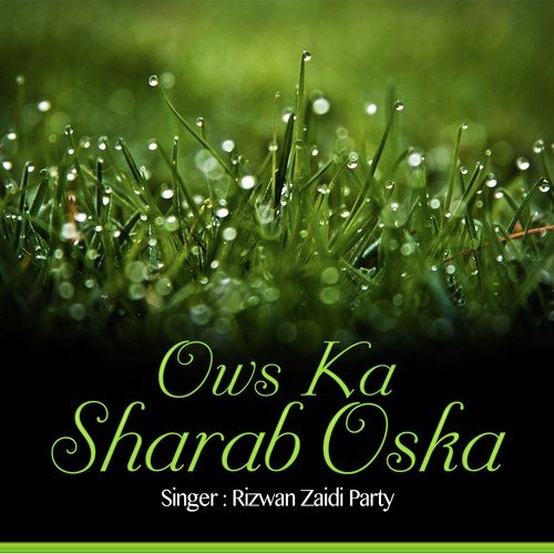 Sur Mangey Pa Sar - Rizwan Zaidi Party, Attaullah Khan Esakhelvi, Malangi Da Khyal Kawa