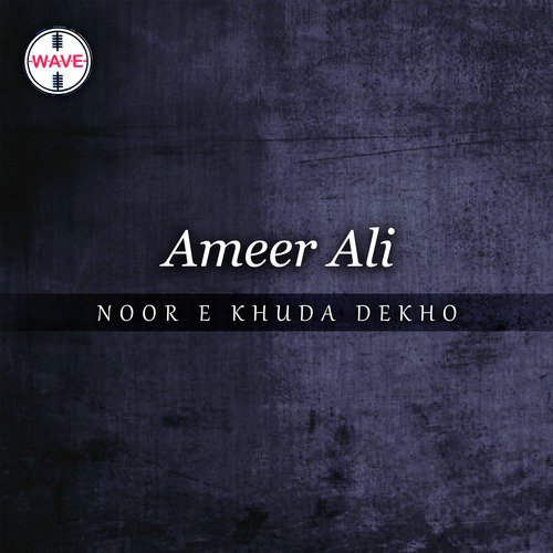 Hamain Mill Jull Ker Rehna - Ameer Ali
