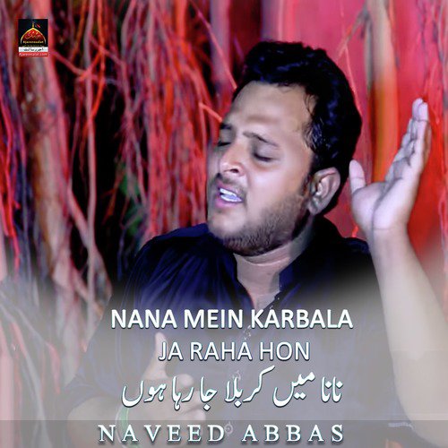 Akbar a.s Bajon Mein Rul Gayi Baba (Vol   2018) - Naveed Abbas
