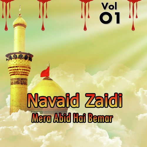 Alay Ahmed - Navaid Zaidi