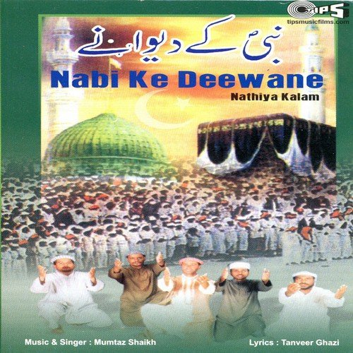 Hum Hain Deewane - Mumtaz Sheikh