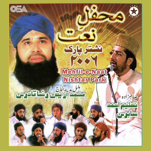 Tilawat Quran Pak - Various Artists