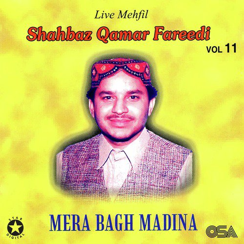 Sadha Te Peer Ali - Shahbaz Qamar Fareedi