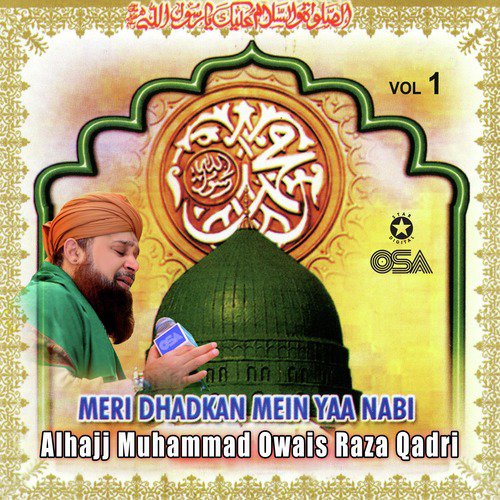 Sarwar e Anbia e Mazhar - Alhajj Muhammad Owais Raza Qadri