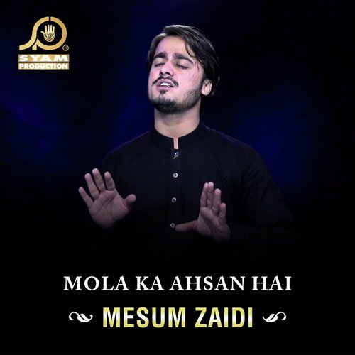 Sakina Ko Pilao Pani - Mesum Zaidi