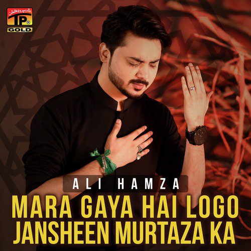 Mara Gaya Hai Logo Jansheen - Ali Hamza