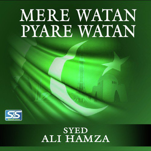 Mere Watan Pyare Watan - Syed Ali Hamza