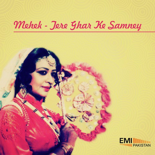 Mein Larki Hoon Phool Tou Nahin (From Mehek) - Various Artists