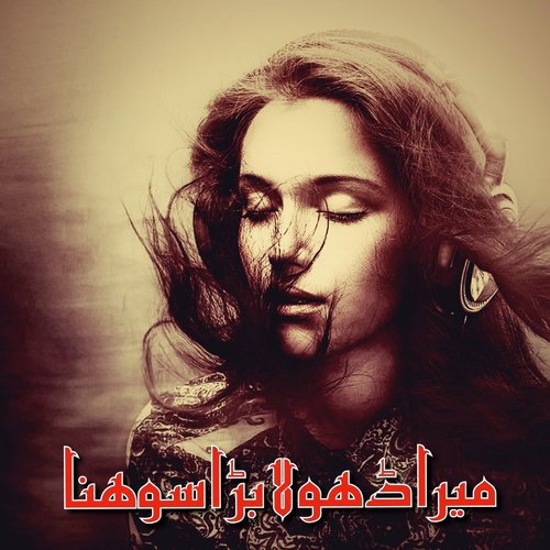 Mera Dhola Bara Sohna - Various Artists