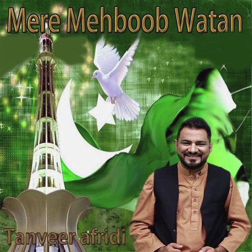 Tu Hai To - Tanveer Afrid