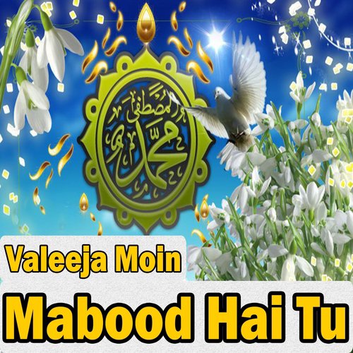 Mabood Hai Tu - Valeeja Moin