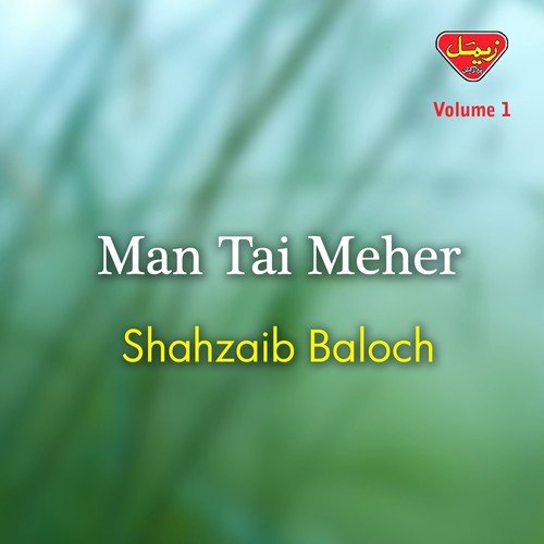 Bawafi Ni - Shahzaib Baloch