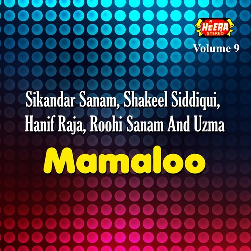 Sharif Aur Naik Admi - Various Artists