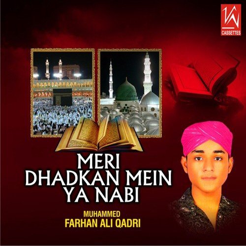 Tumhara Jogi Jago - Muhammed Farhad Ali Qadir