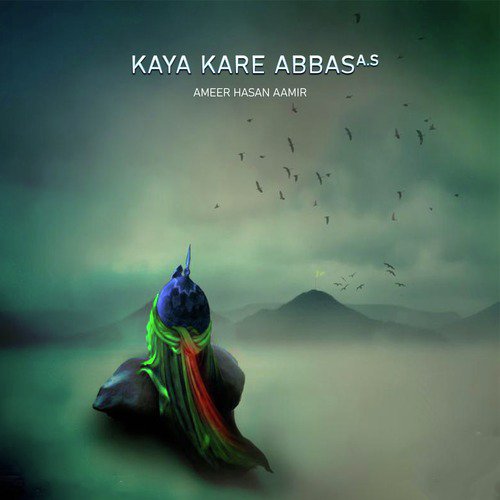 Ali Ali Kartay Raho - Ameer Hasan Aamir