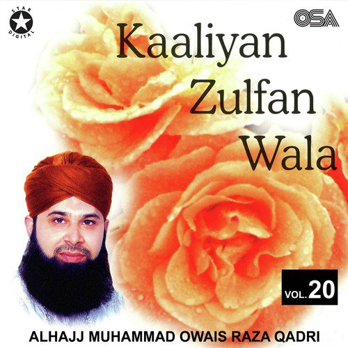 Chandni Chandni Ghulstan Ghulstan - Alhajj Muhammad Owais Raza Qadri