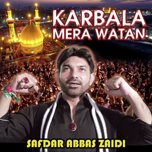 Baali Sakina Tanha - Safdar Abbas Zaidi