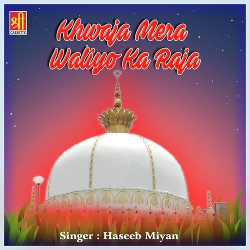 Kya Shaan Hai Rab Ke Walion Ki - Haseeb Mian