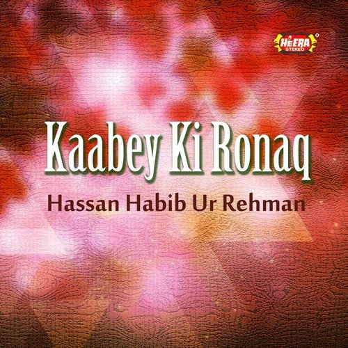 Salaam Aey Murshid Kamil - Hassan Habib Ur Rehman