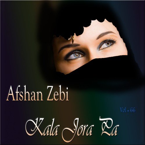 Dhola Nika Jo Hai - Afshan Zebi