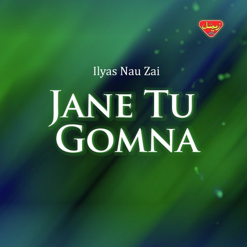 O Jine Jani Chandi - Ilyas Nau Zai