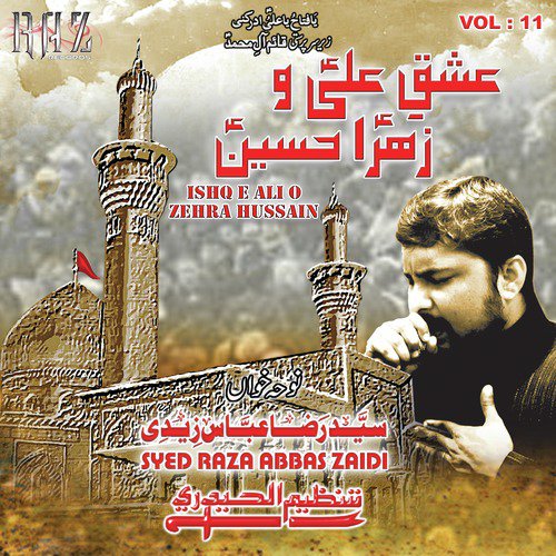 Hai Mera Bhai Kahan - Syed Raza Abbas Zaidi