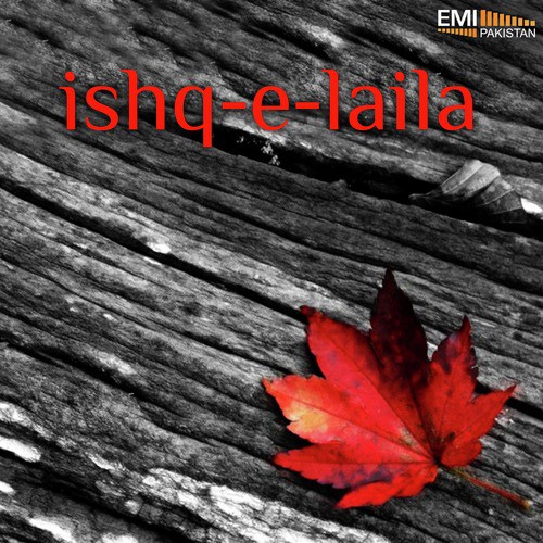 Kis Ko Sunaoon - Various Artists