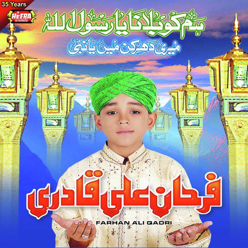 Meri Dharkan Ya Nabi - Farhan Ali Qadri