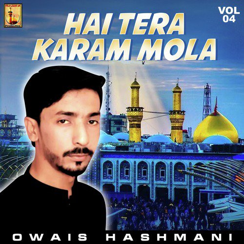 Main Madiney Ki Shahzadi Thi - Owais Hashmani