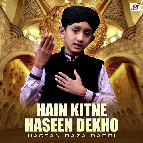 Hain Kitne Haseen Dekho - Hassan Raza Qadri