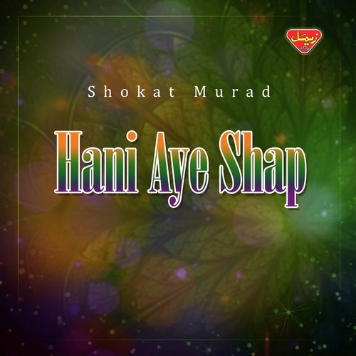 Allah Mani Salonk - Shokat Murad