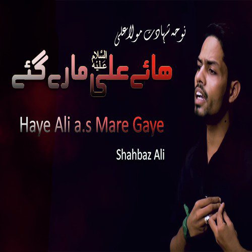 Haye Ali a.s Mare Gaye - Shahbaz Ali