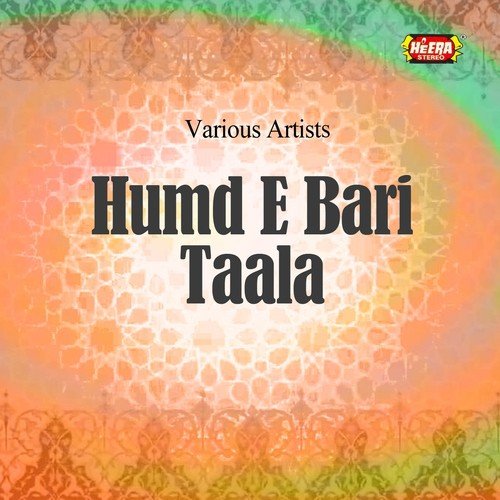 Aayi Wallah - Various Artists
