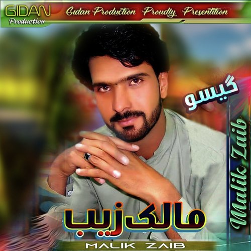 Zalemo da Dowr - Malik Zaib