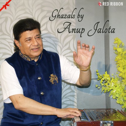 Tumhe Kya Ishque Mein - Anup Jalota, Vidhi Sharma