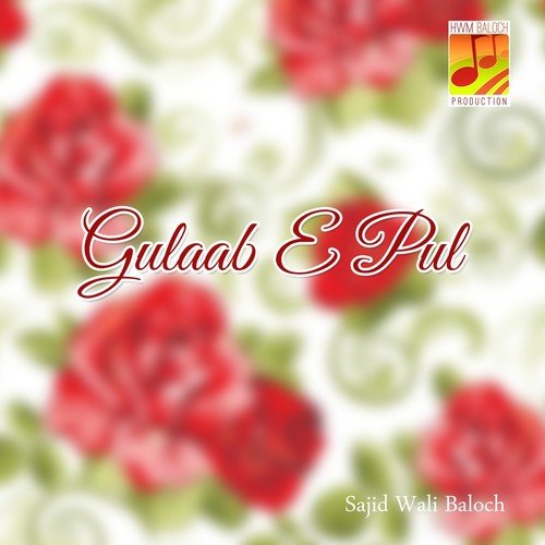Zee Shaka Rani - Sajid Wali Baloch