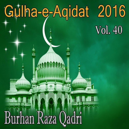 Ya Rasool Allah - Burhan Raza Qadri