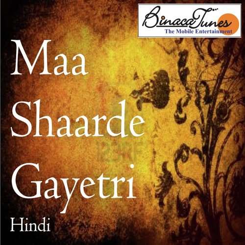 Nit Din Gayatri Dhyan Karo - Vipin Sachdeva