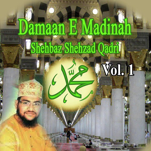 Jo Ishq E Nabi K Jalwon Ko - Shehbaz Shehzad Qadri