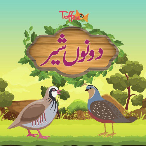 Dono Shair - Amani