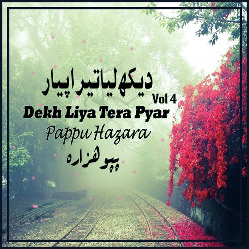 Vangi Tera Didar - Pappu Hazara