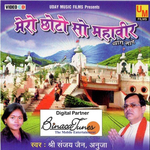 Pichhi Re Pichhi - Various Artists
