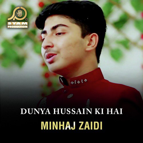 Ali Aa Rahay Hain - Minhaj Zaidi