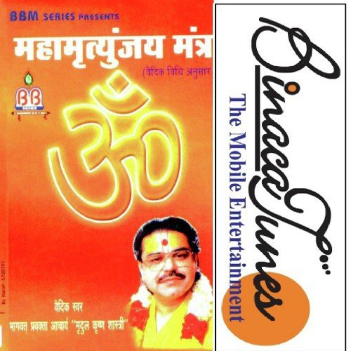 Dhyaan - Mridul Krishna Shastri