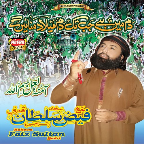 Main Tou Sayel Hun - Hakeem Faiz Sultan Qadri