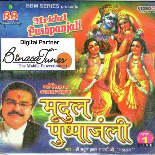 Bankey Ki Banki Ban Gai - Mridul Krishna Shastri