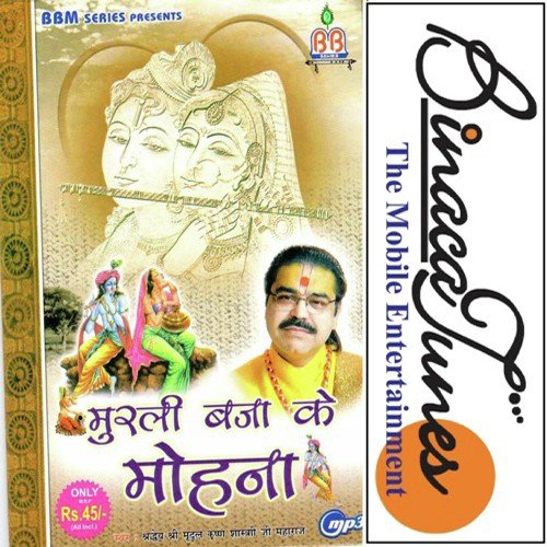 Swaagatam Krishna - Mridul Krishna Shastri